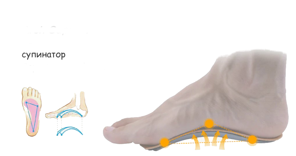 Ортопедические каркасные стельки-супинатор для закрытой обуви ( Натуральная кожа ) - фото 6 - id-p109103941