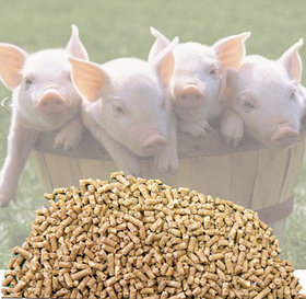 Комбикорм "эконом-класса" для свиней (опт)