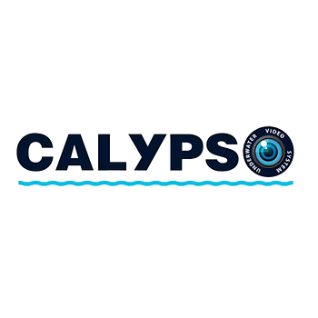Подводные камеры Calypso