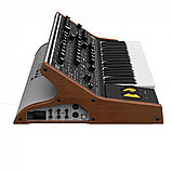 Синтезатор Moog Subsequent 37 Standard, фото 3
