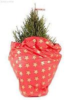 Danske Planter Чехол-коврик для новогодней елки