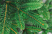 Ель искусственная Бифорес Дриада светло-зеленая 1.3 м, фото 3