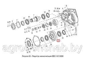 Шестерня Гомсельмаш КВС-1-0113602