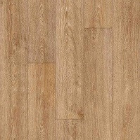 INDIAN OAK 3_631M