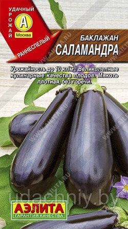 Баклажан Саламандра. 0,1 г. "Аэлита", Россия.