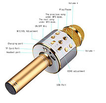 Микрофон караоке Wster Ws858 (Золотой), фото 2