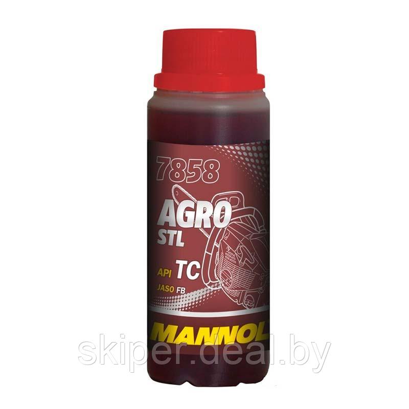 Mannol 7858 Agro Formula S API TC / Масло моторное двухтактное синтетическое 100 мл - фото 1 - id-p102228259