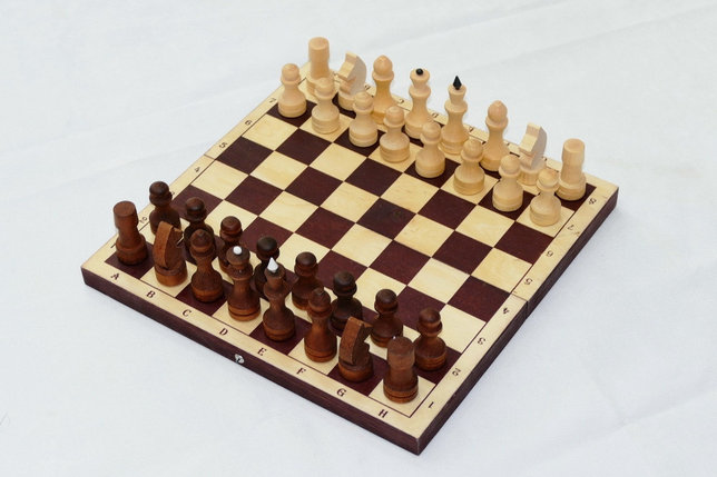 Шахматы ОРЛОВСКАЯ ЛАДЬЯ Шахматы обиходные лакированные с темной доской Р-11, фото 2