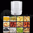 Сушилка для овощей и фруктов Digital Food Dehydrator SMX-01, фото 2