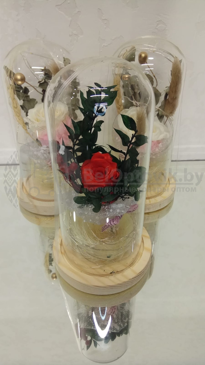 Живая роза в стеклянной колбе с подсветкой. Живые фотографии - фото 5 - id-p109389913