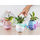 Музыкальный цветочный горшок Smart Music Flower pots Голубой, фото 3