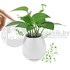 Музыкальный цветочный горшок Smart Music Flower pots Голубой, фото 6