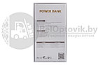 Портативное зарядное устройство Power Bank 10000 mAh, фото 2
