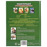 Животные (энциклопедия А4) , "Умка", твёрдый переплёт., фото 5