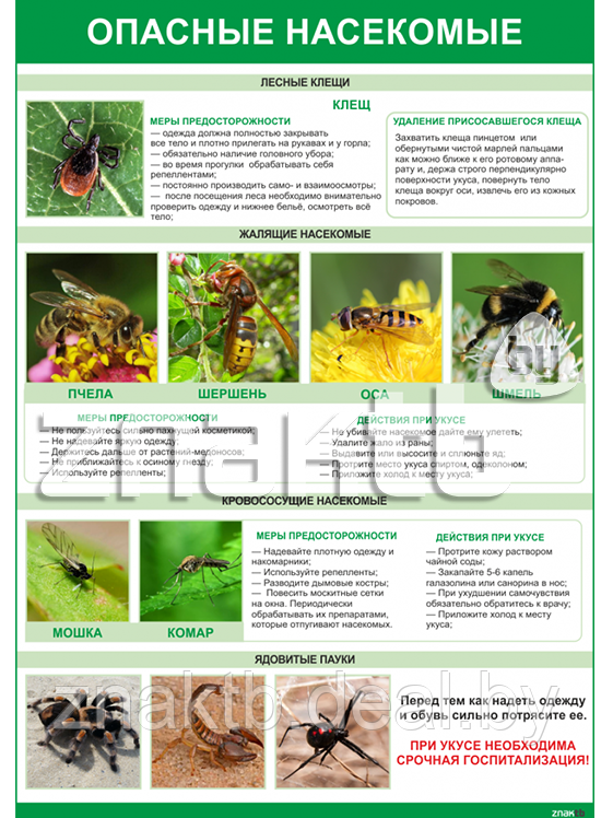 Плакат Опасные насекомые - фото 1 - id-p109447517