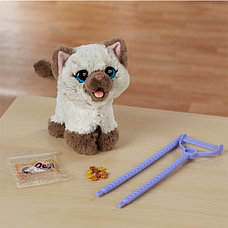 Furreal Friends (Hasbro) Интерактивный Забавный котёнок, друг Пакса Furreal Friends C1156, фото 2