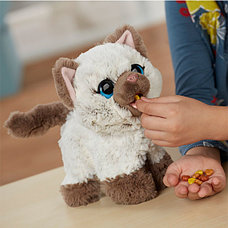 Furreal Friends (Hasbro) Интерактивный Забавный котёнок, друг Пакса Furreal Friends C1156, фото 2