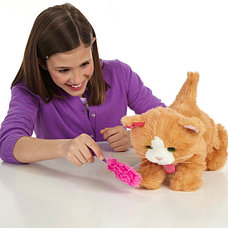 Furreal Friends (Hasbro) Интерактивная игрушка Дэйзи игривый котенок Furreal Friends A2003, фото 3