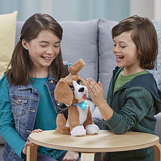 Говорящий щенок Чарли B9070 Hasbro Furreal Friends, фото 2