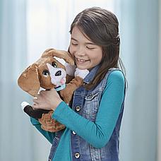 Говорящий щенок Чарли B9070 Hasbro Furreal Friends, фото 3