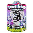 Hatchimals 19110-PURP Хетчималс сюрприз - близнецы интерактивные питомцы, вылупляющиеся из яйца, фото 2