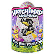 Hatchimals 19110-PINK Хетчималс сюрприз - близнецы интерактивные питомцы, вылупляющиеся из яйца, фото 4