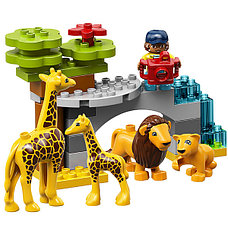 Lego Конструктор ЛЕГО ДУПЛО Животные мира LEGO DUPLO 10907, фото 3