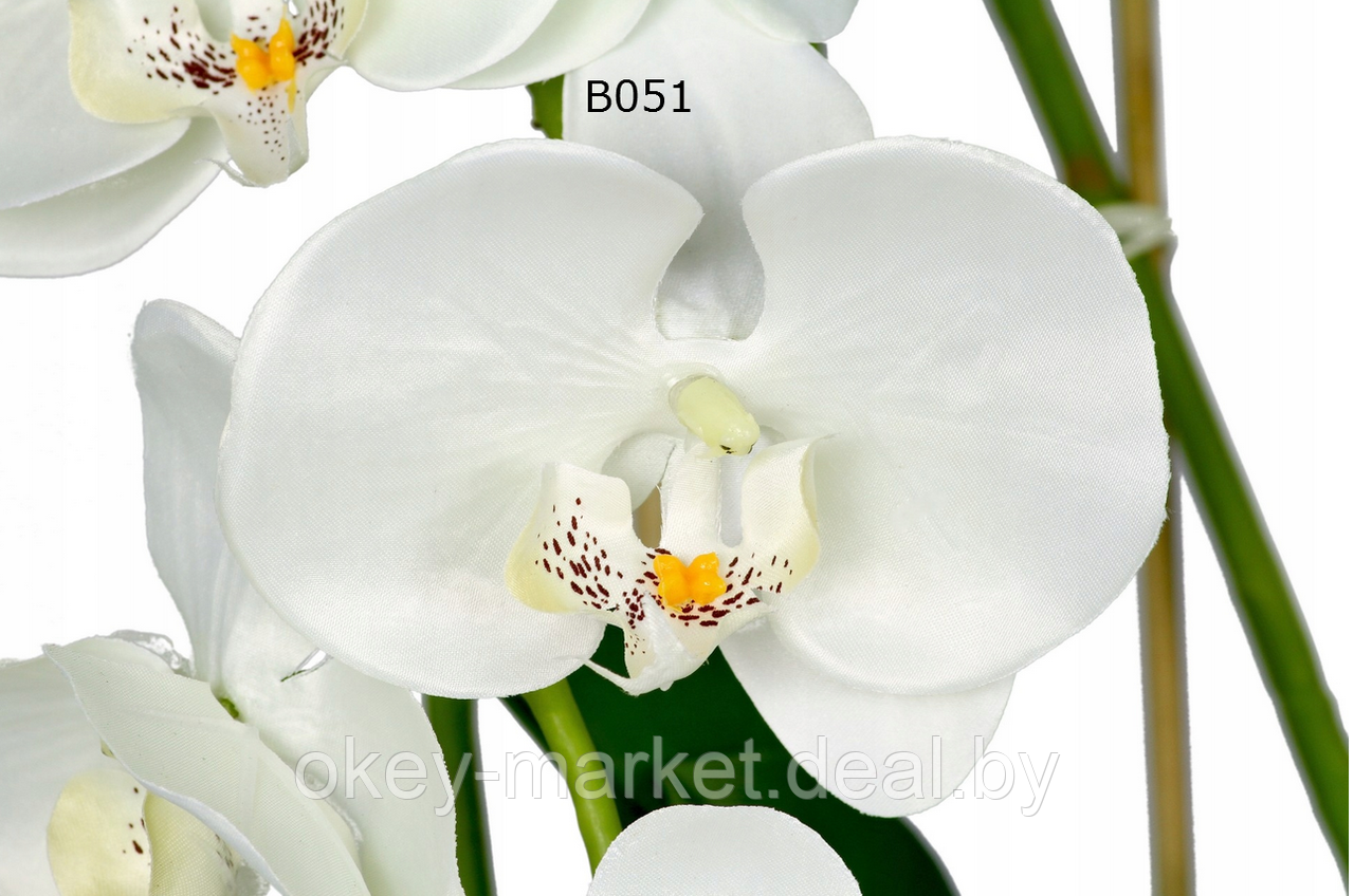 Цветочная композиция из орхидей в горшке B051 - фото 3 - id-p109455579