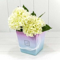 Коробка для цветов Ваза с ручками "Flowers" Градиент Розовый/Голубой 17*17*18 1/8 1/72.