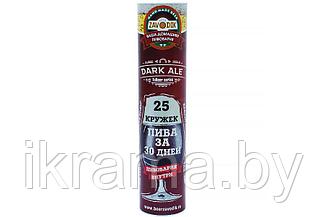 Пивоварня Beer Zavodik TuBeer series - Dark Ale