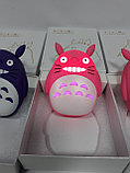 Внешний аккумулятор Power Bank Totoro 12000 mAh, фото 6