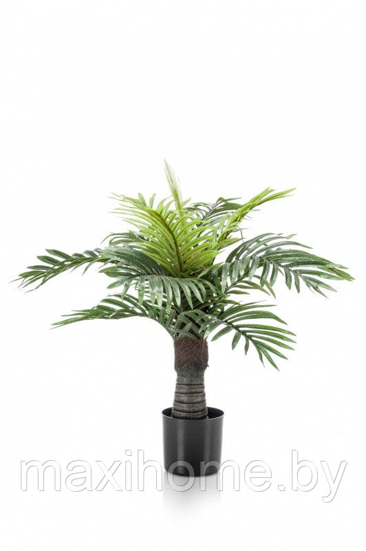 Искусственное растение "Пальма Блехнум" 0,6 м