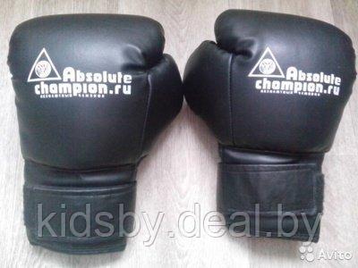 Перчатки боксерские Absolute Champion 1130 (12oz, черный) - фото 1 - id-p93259189