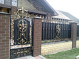 Ворота кованые под заказ.Калитки, фото 2