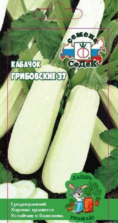 Кабачки Грибовские 37, 2,0 г  (Остаток 9 шт !!!)