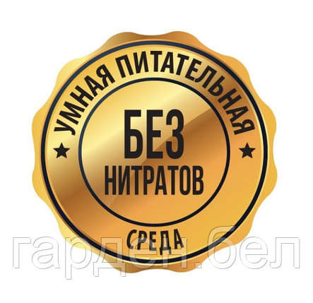 Цион для хвойных растений 700г, фото 2