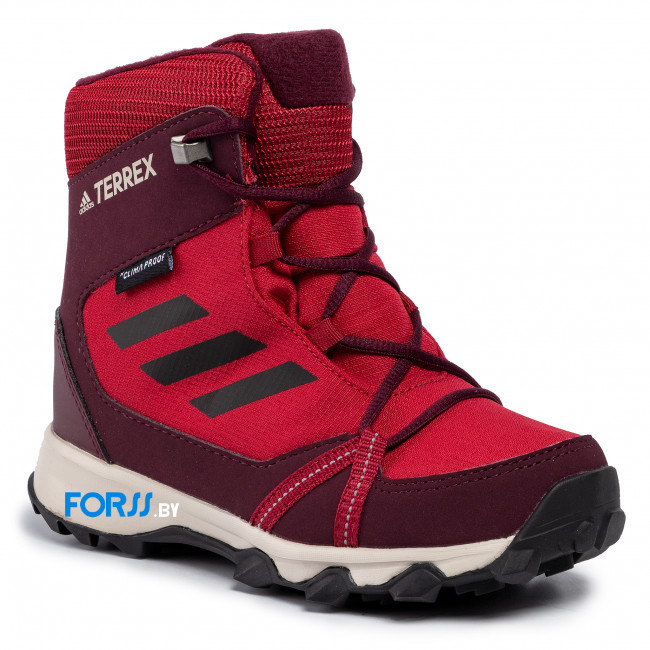 Кроссовки Adidas TERREX SNOW CP CW K - фото 1 - id-p109936342