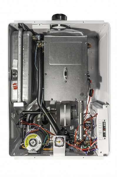 Газовый котел Daewoo DGB-100MSC(n) - фото 4 - id-p110110498