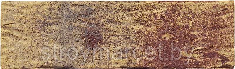 Плитка фасадная клинкерная (HF15 Радужный кирпич) - фото 2 - id-p110176586