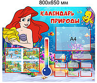 Стенд "Календарь природы" развивающий для группы "Русалочка" 800х650 мм, с комплектом вставок