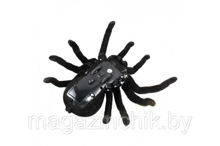 Радиоуправляемый паук Тарантул 781 - фото 5 - id-p110331703