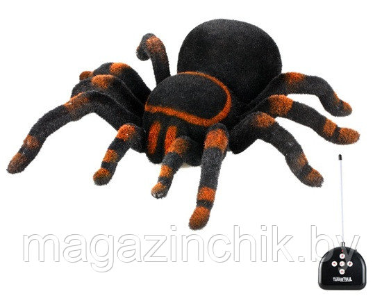 Радиоуправляемый паук Тарантул 781 - фото 3 - id-p110331703