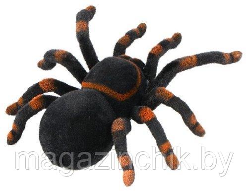 Радиоуправляемый паук Тарантул 781 - фото 4 - id-p110331703