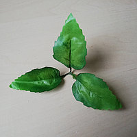 Зелень-розетка , d листа 8*4 см.