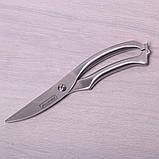 Ножницы кухонные из нержавеющей стали  Kamille KM .5100, фото 2