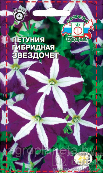 Петуния Звездочёт (гибридная), 10шт