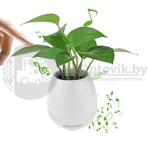 Музыкальный цветочный горшок Smart Music Flower pots Голубой - фото 6 - id-p93846978