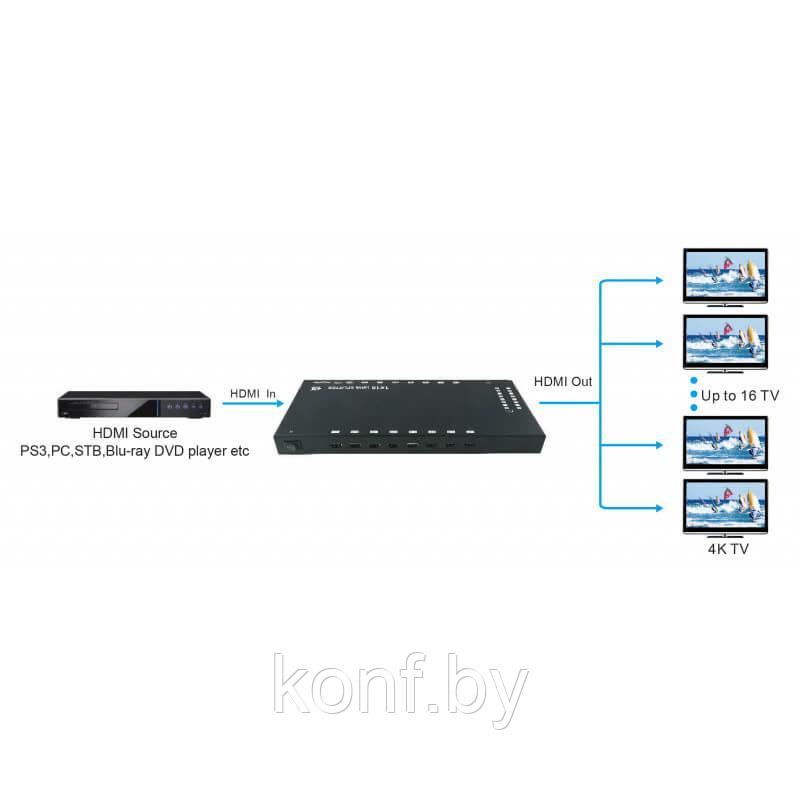 Сплиттер HDMI 1x16 HDMI (4Kx2K@30Hz) - фото 2 - id-p110384945
