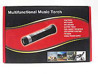 Портативная колонка 4 в 1 Multifunctional music torch