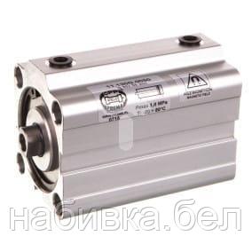 Цилиндр пневматический зажимной D 50x50 11.130G.0050